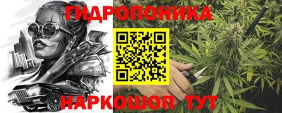 гашик Моздок