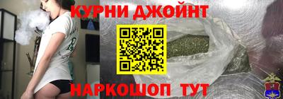 гашик Моздок