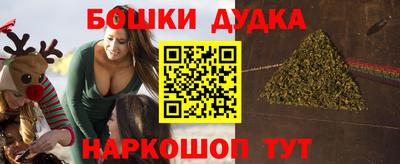 гашик Моздок