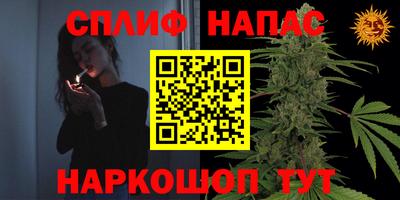 гашик Моздок