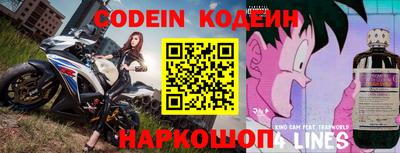 гашик Моздок