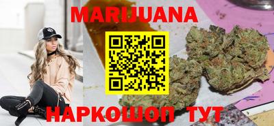 гашик Моздок
