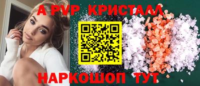 гашик Моздок