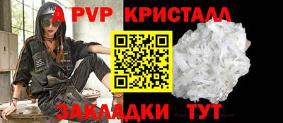 гашик Моздок