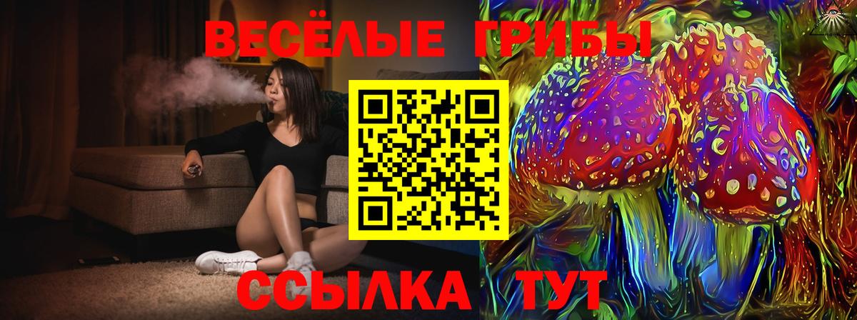 Сосновый Бор  Псилоцибиновые грибы MAGIC MUSHROOMS  Вход с VPN 